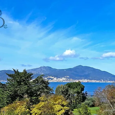 De Porticcio, Youyoube