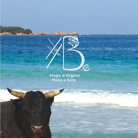 De Porticcio, Youyoube