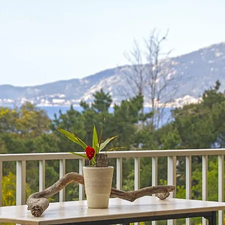 Apartman De Porticcio, Youyoube