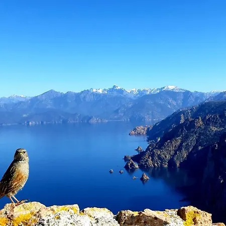 De Porticcio, Youyoube Apartment *